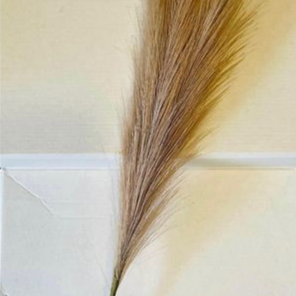*Pampas Grass Pick, 28”, Bundle of 3 - Picture 3 of 10